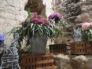 Temps de Flors 2015. Les Sarra&iuml;nes