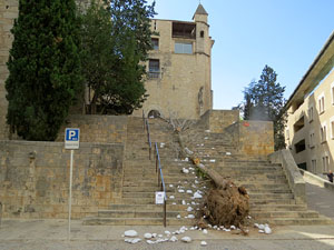 Temps de Flors 2015. Universitat de Girona - Sant Dom&egrave;nec