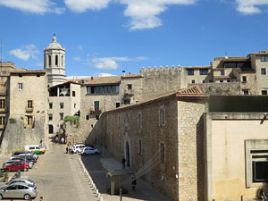 Temps de Flors 2015. Universitat de Girona - Sant Dom&egrave;nec