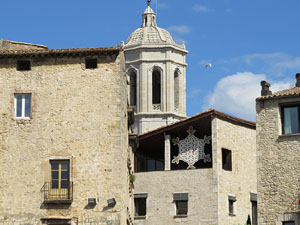 Temps de Flors 2015. Universitat de Girona - Sant Dom&egrave;nec