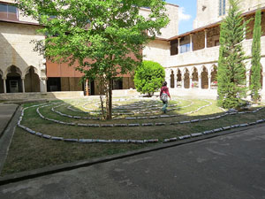 Temps de Flors 2015. Universitat de Girona - Sant Dom&egrave;nec