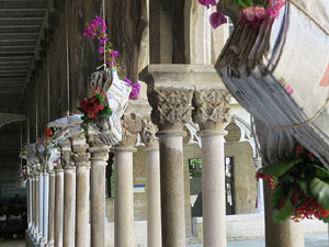 Temps de Flors 2015. Universitat de Girona - Sant Dom&egrave;nec