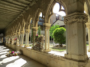 Temps de Flors 2015. Universitat de Girona - Sant Dom&egrave;nec