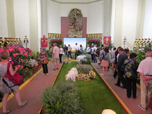 Temps de Flors 2015. Sant Lluc - Castrum dels Manaies