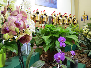 Temps de Flors 2015. Sant Lluc - Castrum dels Manaies