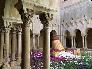 Temps de Flors 2015. Sant Pere de Galligants