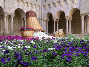 Temps de Flors 2015. Sant Pere de Galligants