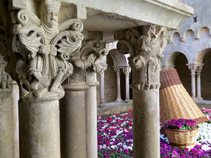 Temps de Flors 2015. Sant Pere de Galligants