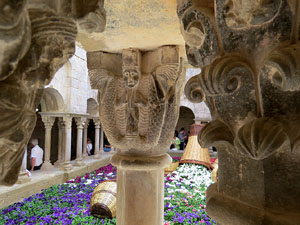 Temps de Flors 2015. Sant Pere de Galligants