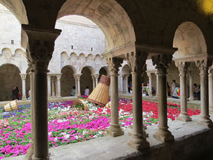 Temps de Flors 2015. Sant Pere de Galligants