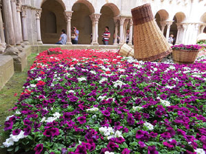 Temps de Flors 2015. Sant Pere de Galligants