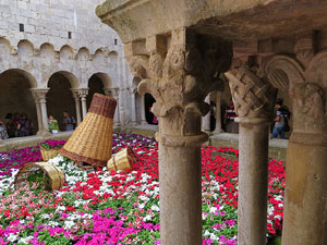 Temps de Flors 2015. Sant Pere de Galligants