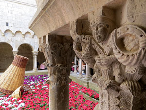 Temps de Flors 2015. Sant Pere de Galligants