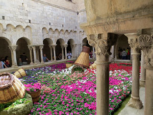 Temps de Flors 2015. Sant Pere de Galligants