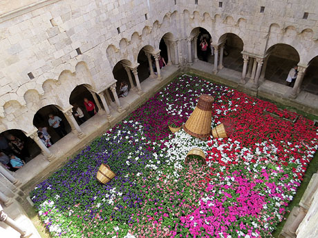 Temps de Flors 2015. Sant Pere de Galligants