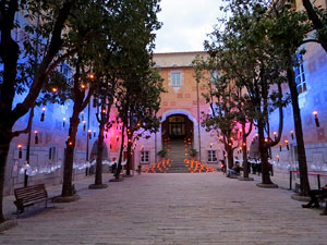 350 anys de l'Antic Hospital de Santa Caterina. Nit de les Llumin&agrave;ries