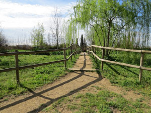 Els aiguamolls de Santa Eug&egrave;nia, espai de natura