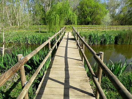 Ponts de Girona. El pont de l'Aurora en el l&iacute;mit dels barris de Pedret i Pont Major