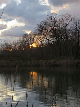 Posta de Sol als aiguamolls de Santa Eug&egrave;nia