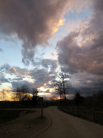 Posta de sol al cam&iacute; dels aiguamolls