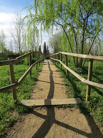 Els aiguamolls de Santa Eug&egrave;nia