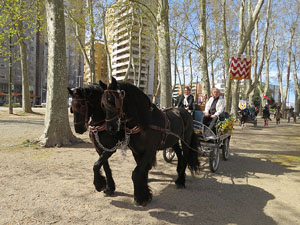 La Cavalcada de Sant Antoni 2016