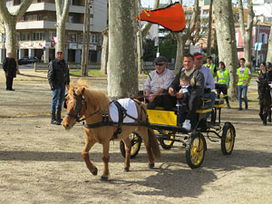 La Cavalcada de Sant Antoni 2016