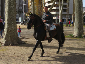 La Cavalcada de Sant Antoni 2016