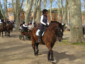 La Cavalcada de Sant Antoni 2016