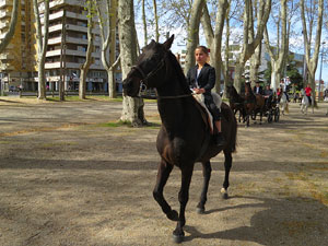 La Cavalcada de Sant Antoni 2016