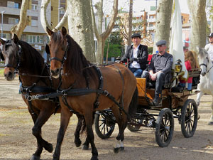 La Cavalcada de Sant Antoni 2016