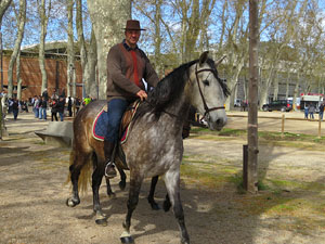 La Cavalcada de Sant Antoni 2016