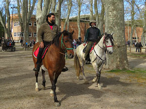 La Cavalcada de Sant Antoni 2016