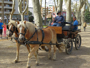 La Cavalcada de Sant Antoni 2016