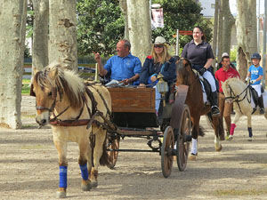 La Cavalcada de Sant Antoni 2016