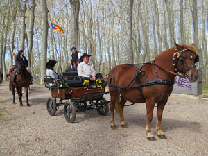 La Cavalcada de Sant Antoni 2016