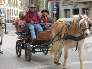 La Cavalcada de Sant Antoni 2016