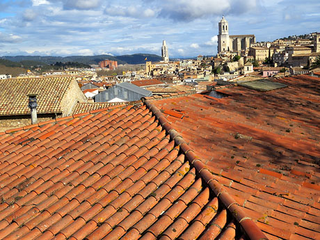 Vista des del baluard de la Merc&egrave;