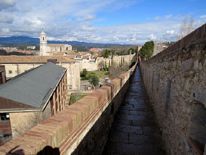 Itinerari de la Muralla. Des de la torre de Sant Dom&egrave;nec a la del Llamp