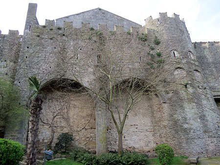 Torre J&uacute;lia i muralla carol&iacute;ngia