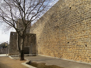 Conjunt defensiu dels Socors