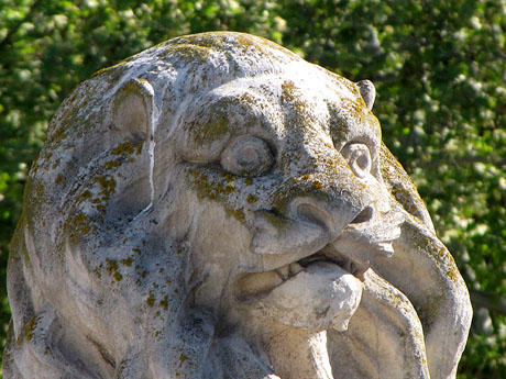 Monuments i edificis de Girona. El Lle&oacute; del Mercat