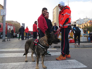 Nadal 2015 a Girona. La Marat&oacute; de TV3