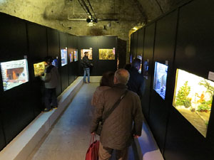 Nadal 2015 a Girona. Exposici&oacute; de pessebres a la Carbonera, organitzada per l'Associaci&oacute; de Pessebristes de Girona 