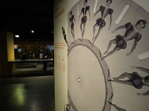 Nit dels Museus 2016. Museu del Cinema