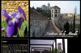 Anar
