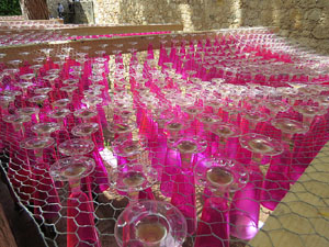 Temps de Flors 2016. Els absis de Sant Pere de Galligants i la llera del Galligants