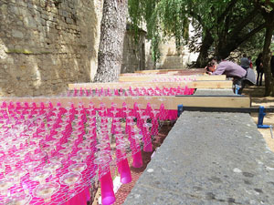Temps de Flors 2016. Els absis de Sant Pere de Galligants i la llera del Galligants
