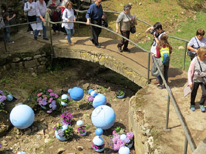 Temps de Flors 2016. Els absis de Sant Pere de Galligants i la llera del Galligants