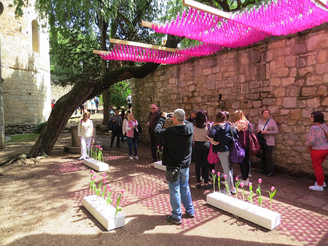 Temps de Flors 2016. Els absis de Sant Pere de Galligants i la llera del Galligants